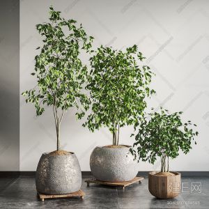 107039529 日式植物盆栽664585下载【ID:1769】